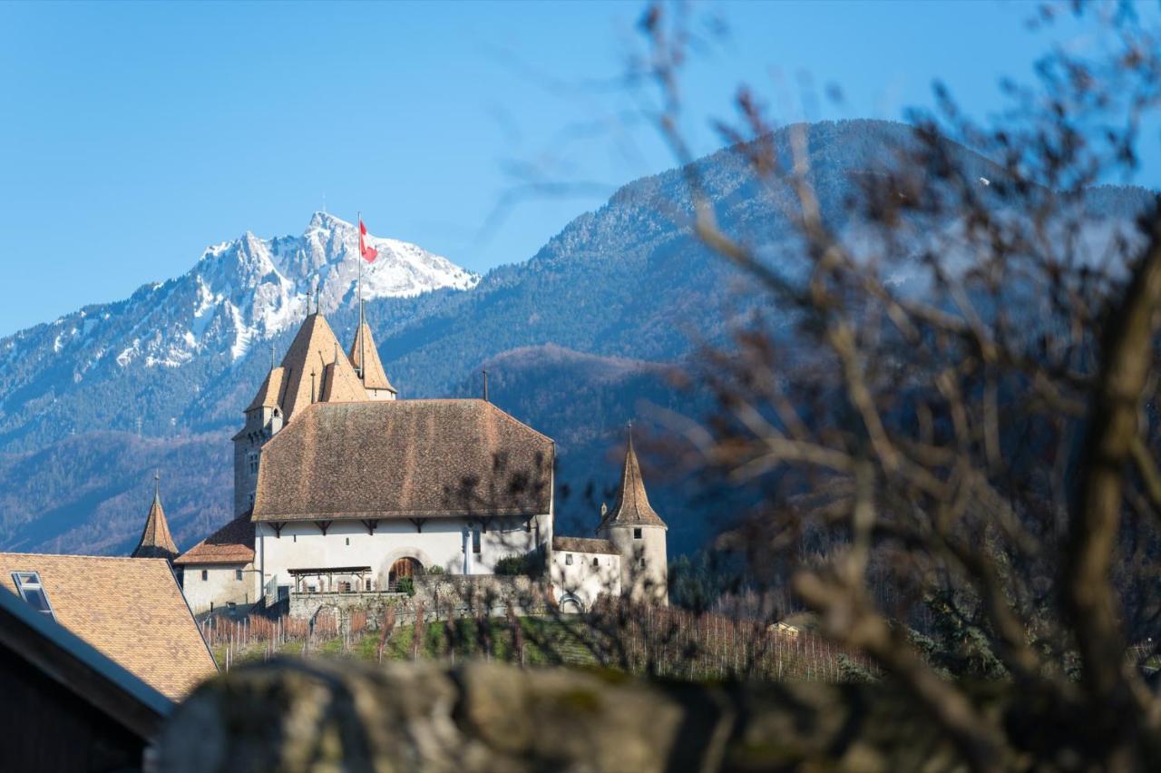 Nonanteneuf Appart Hotel Aigle - Contactless Check-In Bagian luar foto